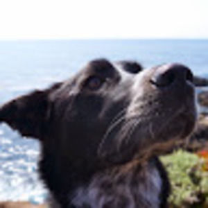 Meet your Posher, Quinn